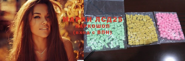 индика Алексин
