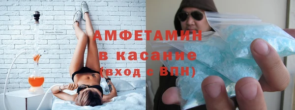 индика Алексин
