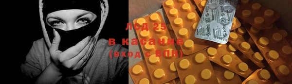 индика Алексин