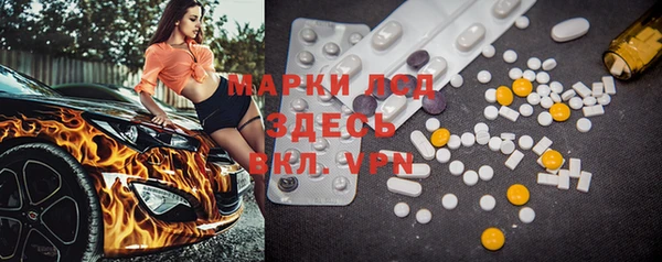 индика Алексин