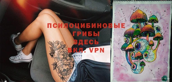 МДПВ Алексеевка