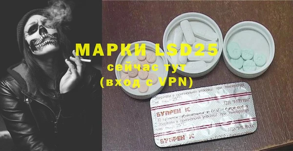 индика Алексин