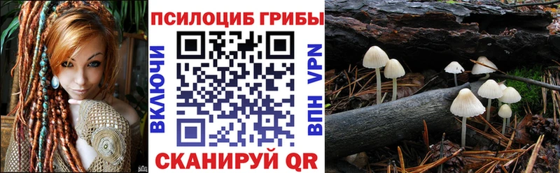 Псилоцибиновые грибы Psilocybine cubensis  Бирюч 